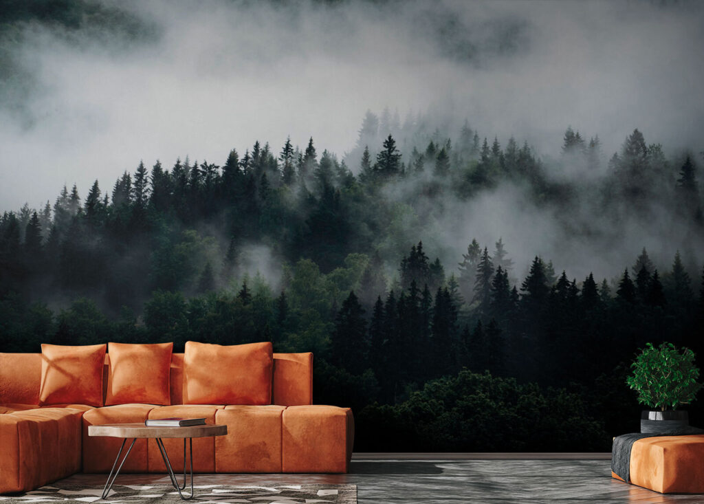 Nebbia sulle chiome scure — ambiente 2