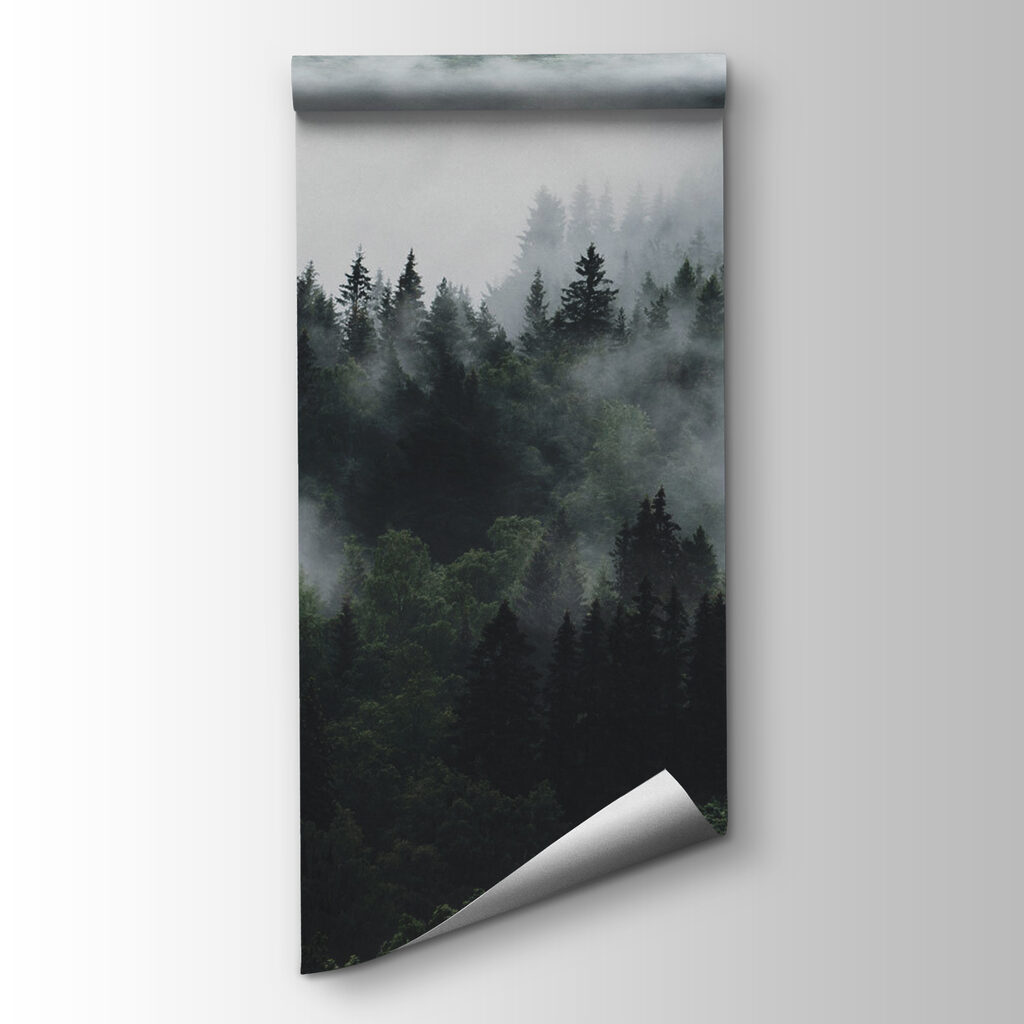Nebbia sulle chiome scure — vista del prodotto