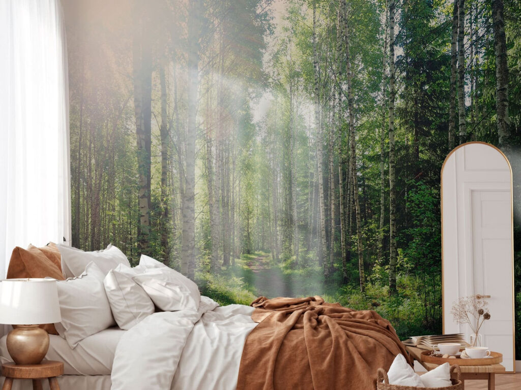 Luce sul sentiero — ambiente 2