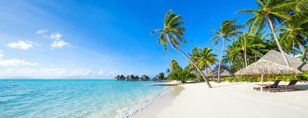 Spiaggia con palme — design completo