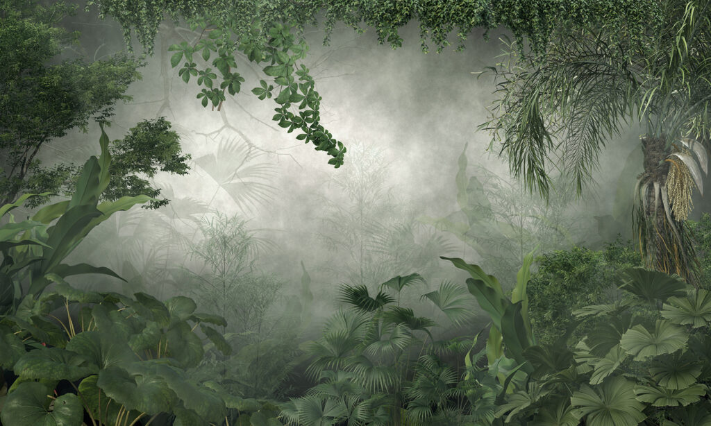 Giungla nella nebbia — design completo