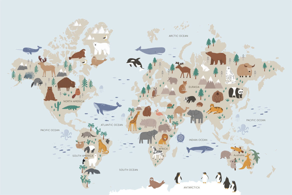 Mappa del mondo azzurra — design completo