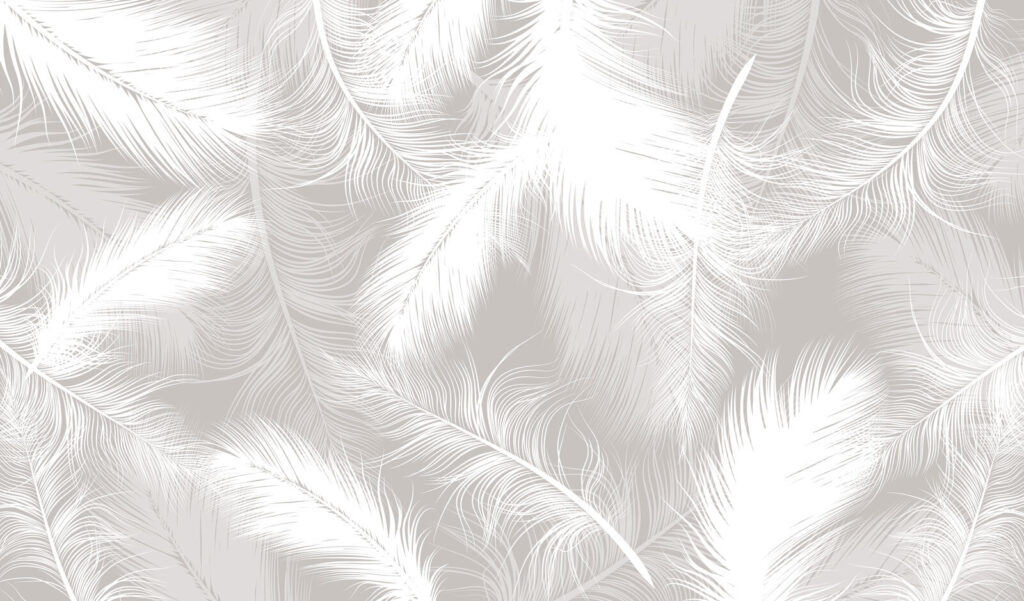 Piume bianche sovrapposte — design completo