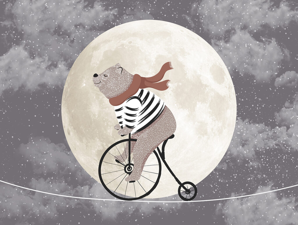 Orsetto in bicicletta — design completo