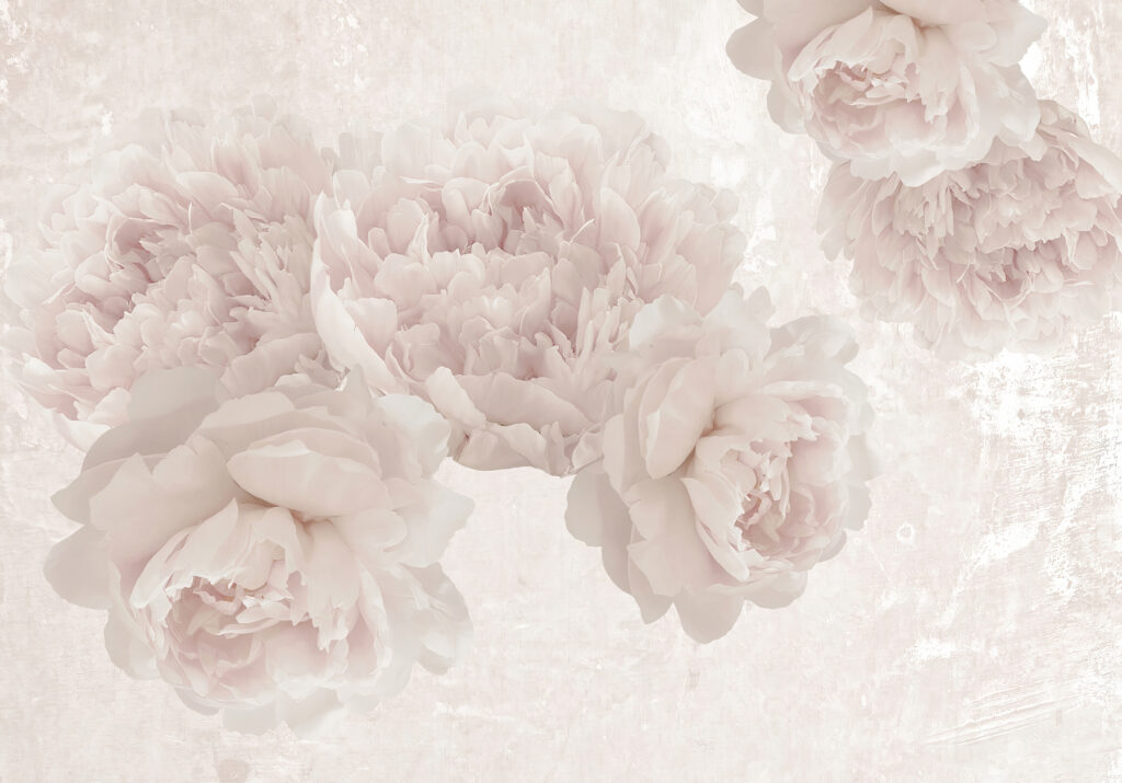 Rose nella luce sfocata — design completo