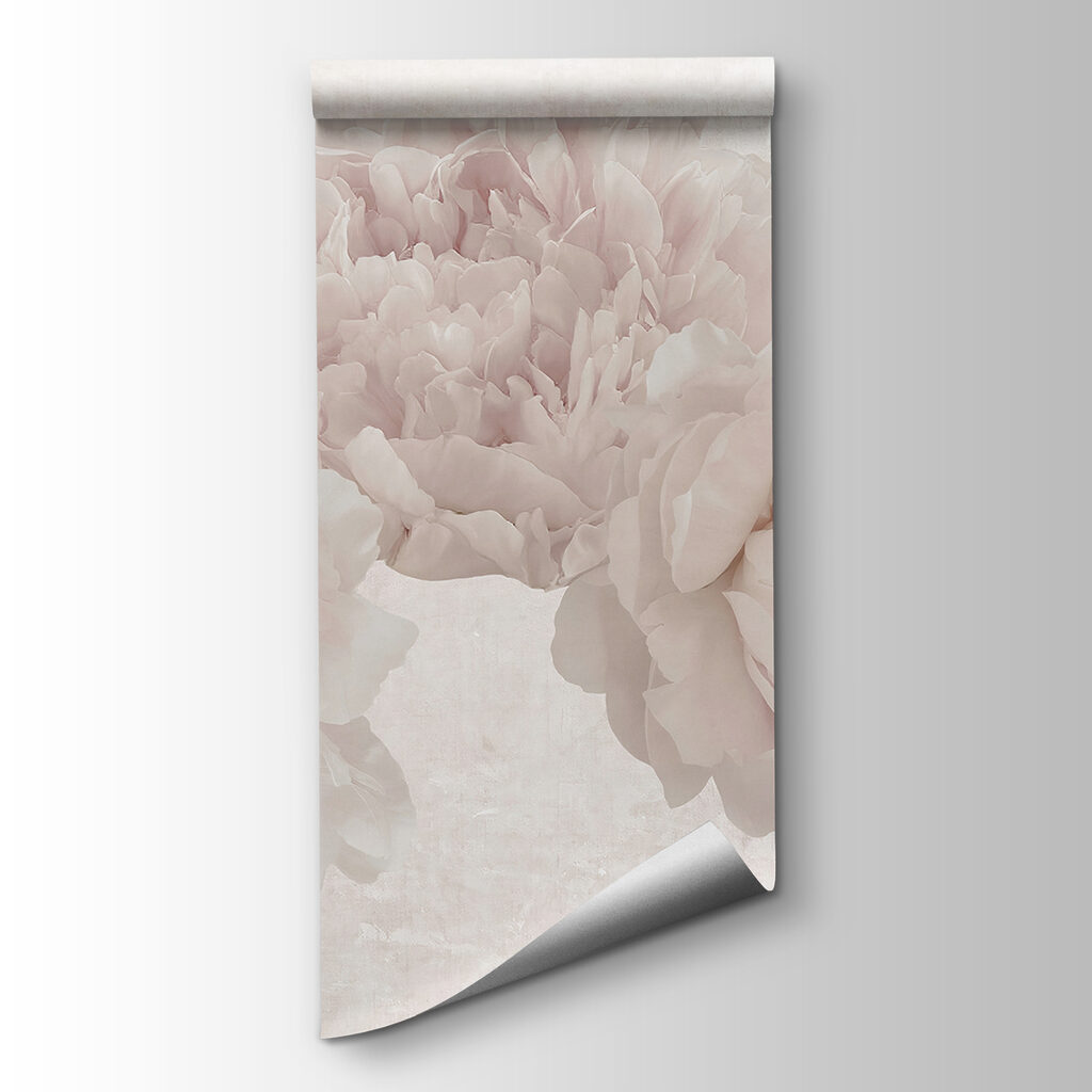 Rose nella luce sfocata — vista del prodotto