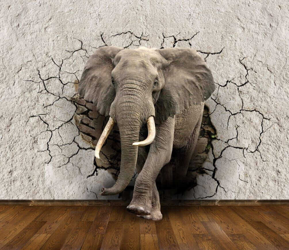Elefante tra le crepe — design completo