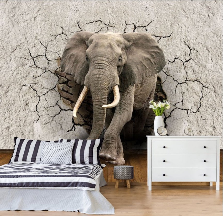 Elefante tra le crepe — ambiente 1