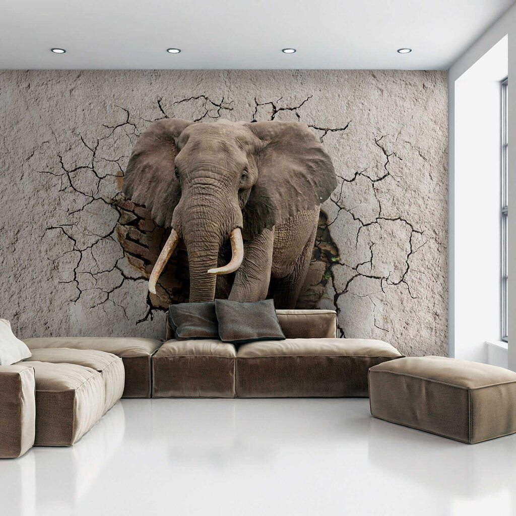 Elefante tra le crepe — ambiente 6