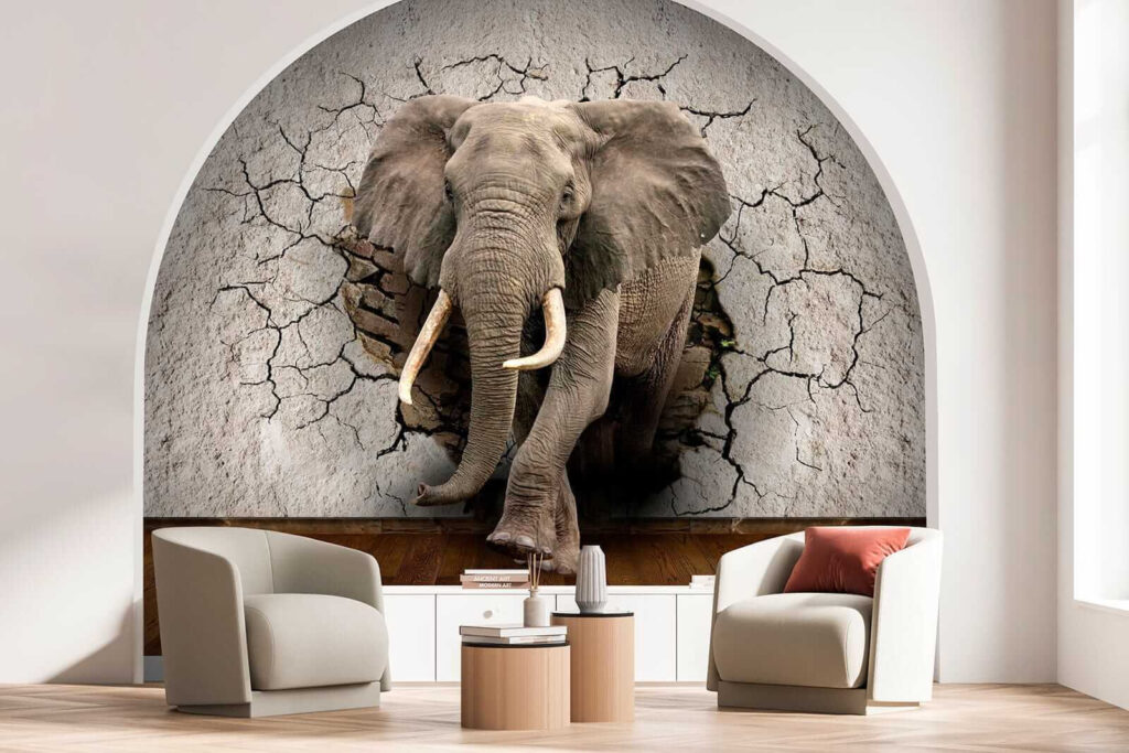 Elefante tra le crepe — ambiente 4