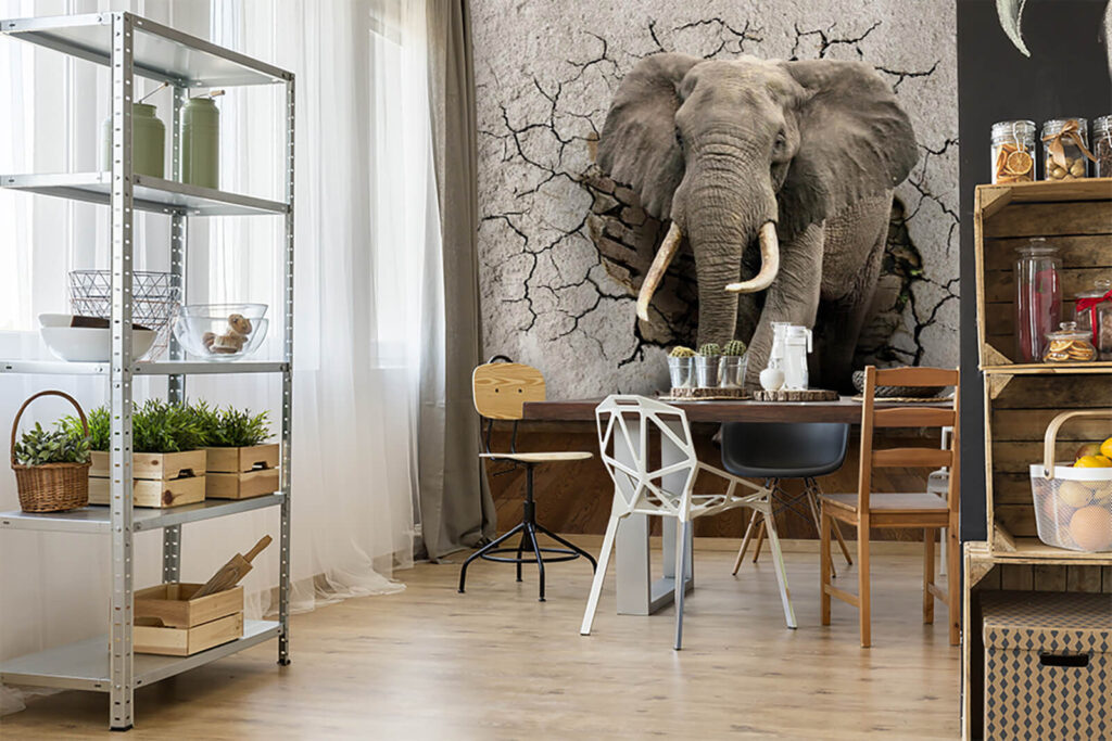 Elefante tra le crepe — ambiente 5