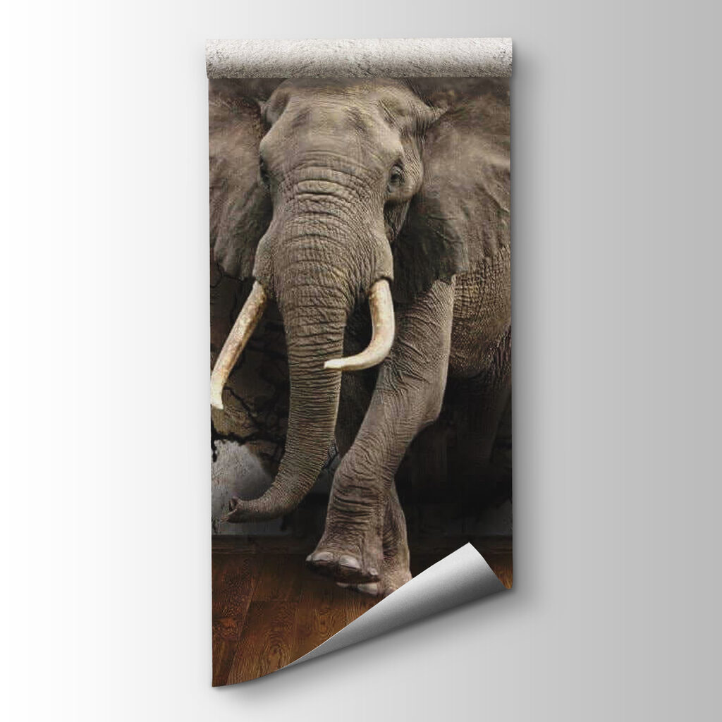 Elefante tra le crepe — vista del prodotto