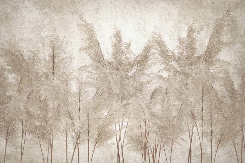 Pennacchi di pampas — design completo