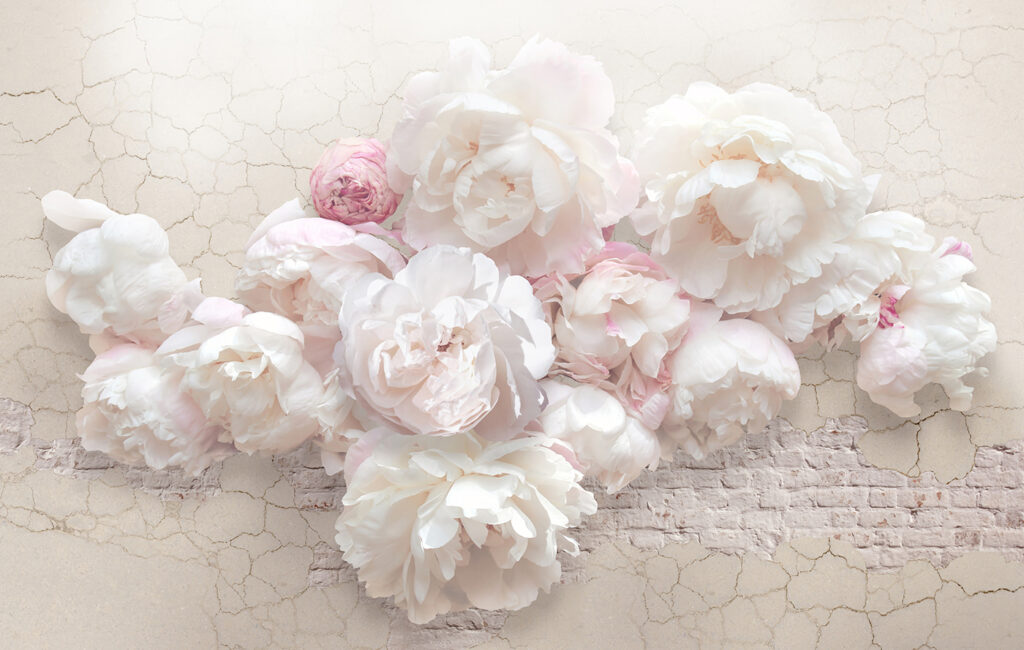 Rose su bianco screpolato — design completo