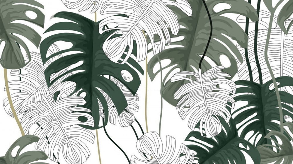 Foglie verdi su bianco — design completo