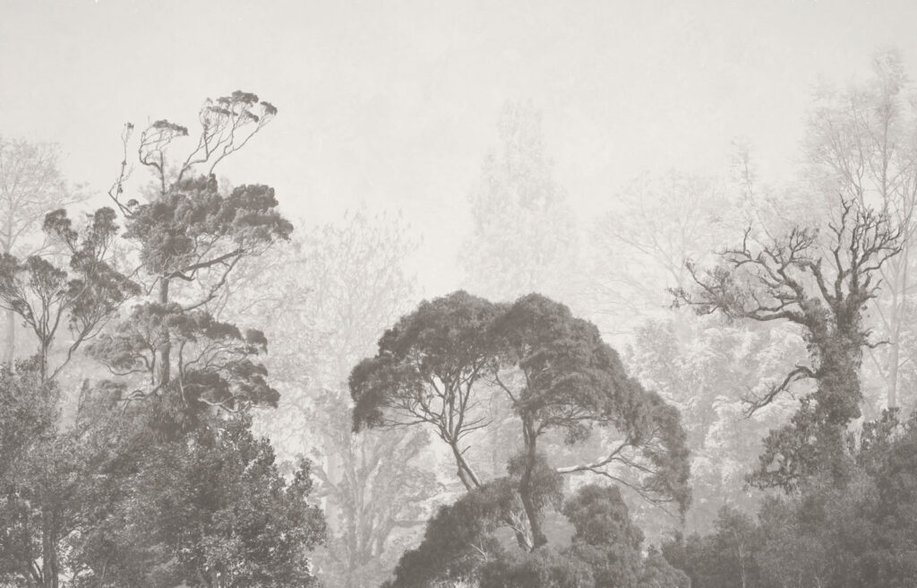 Alberi lontani in grigio — design completo