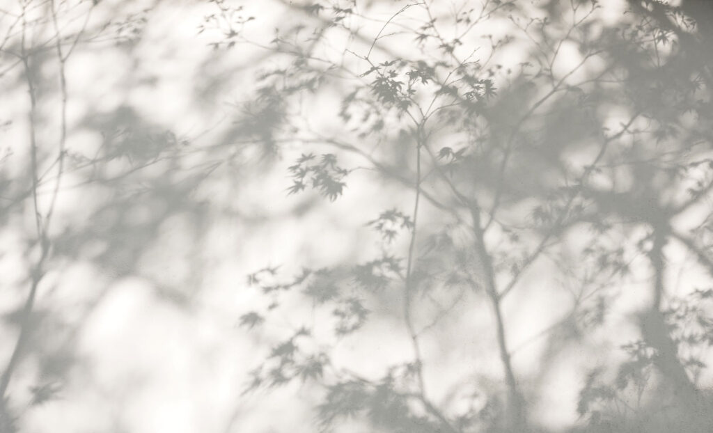 Ombre di foglie — design completo