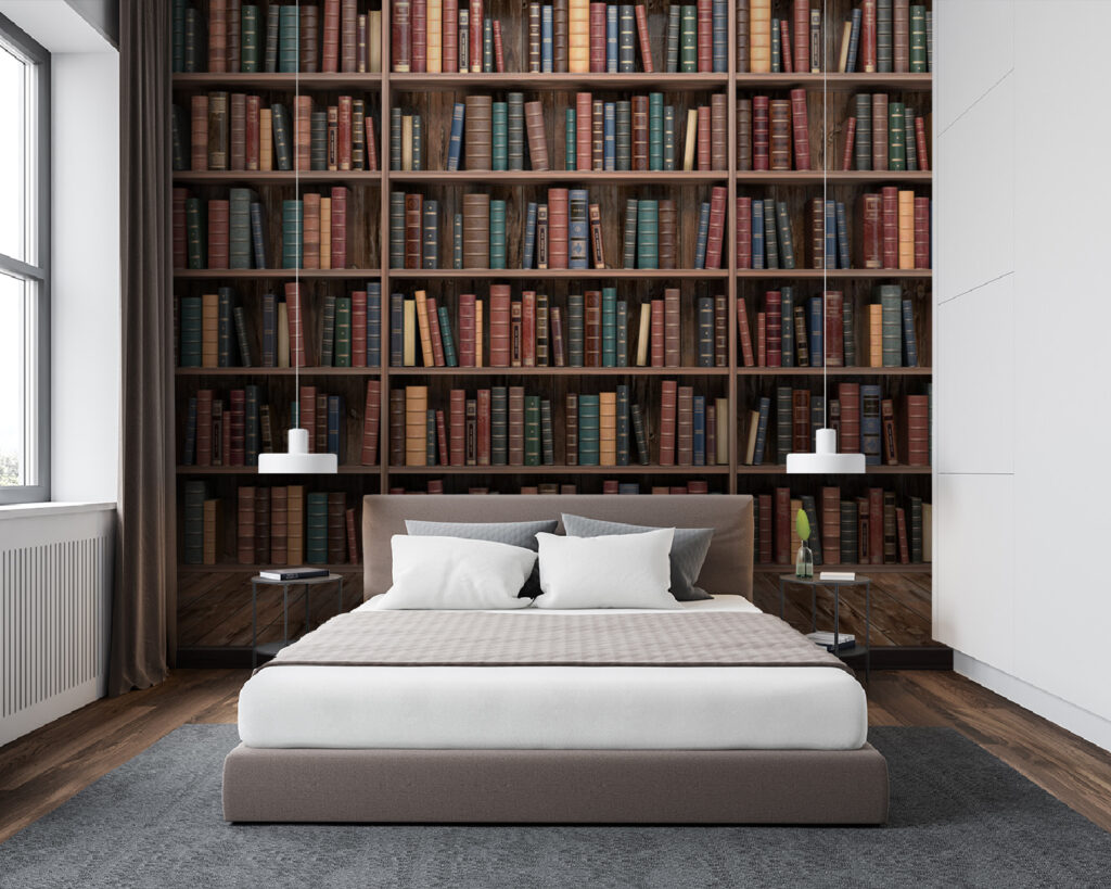 Scaffali di libri — ambiente 4