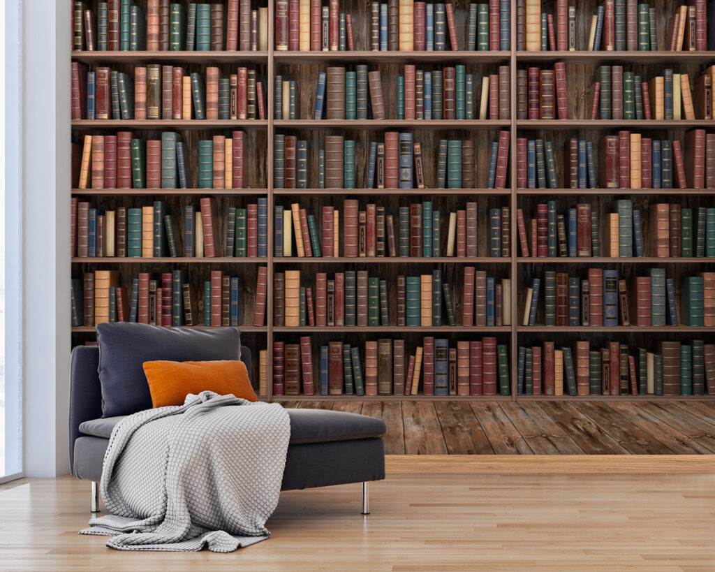 Scaffali di libri — ambiente 5