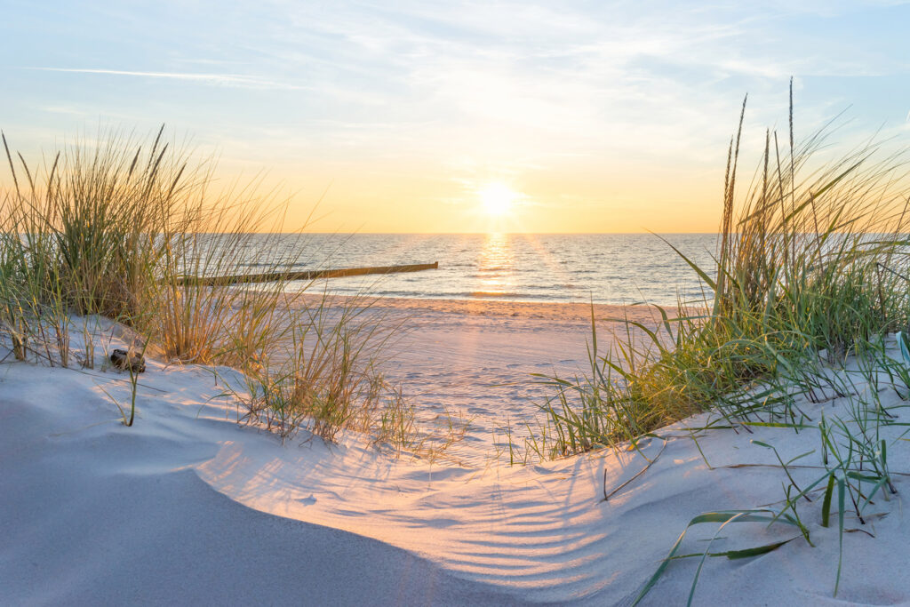 Dune erbose sul mare — design completo