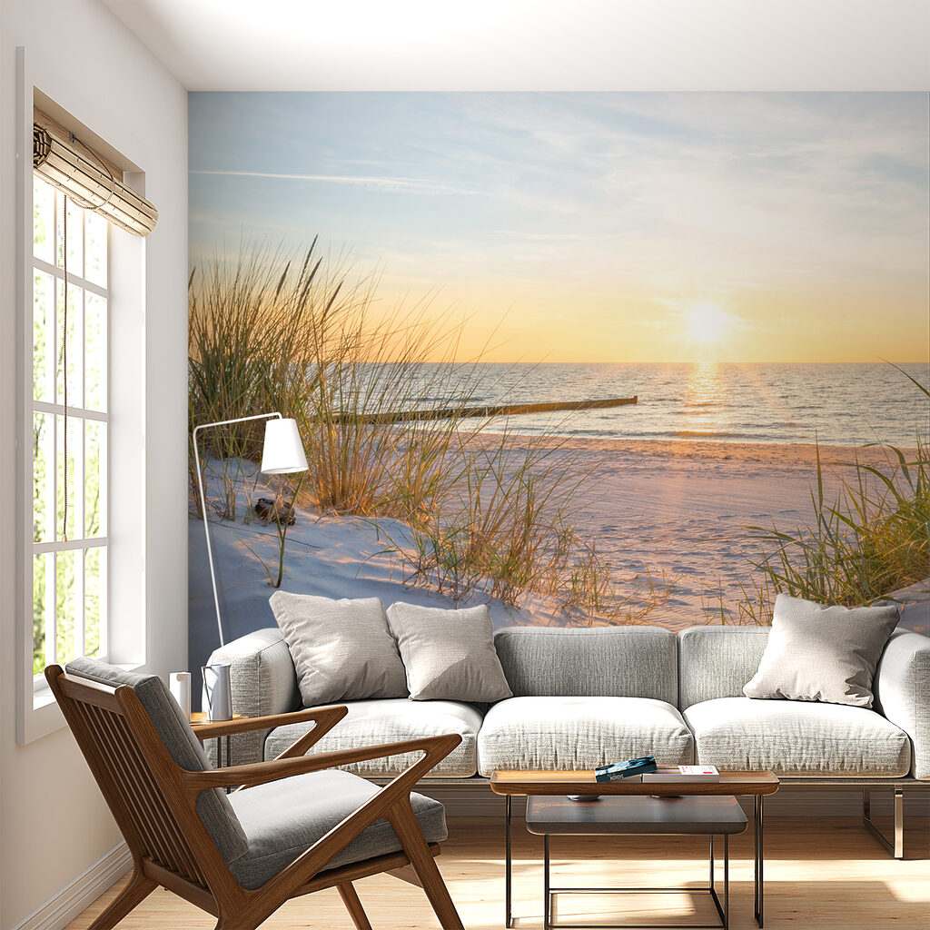 Dune erbose sul mare — ambiente 4