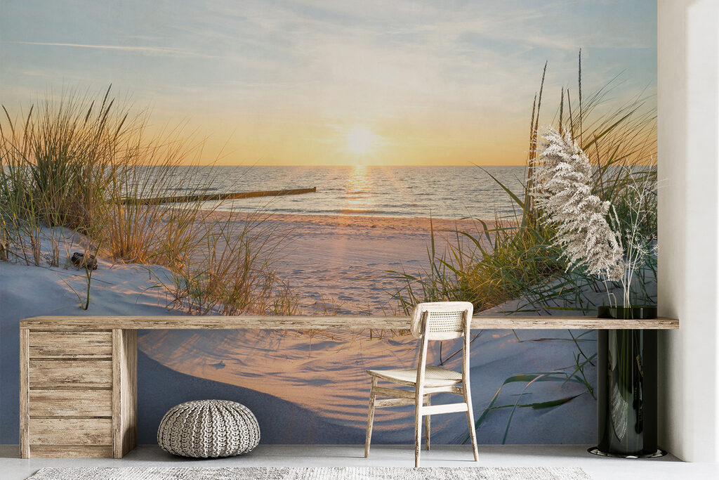Dune erbose sul mare — ambiente 5