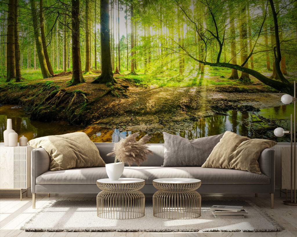 Ruscello nel bosco — ambiente 4