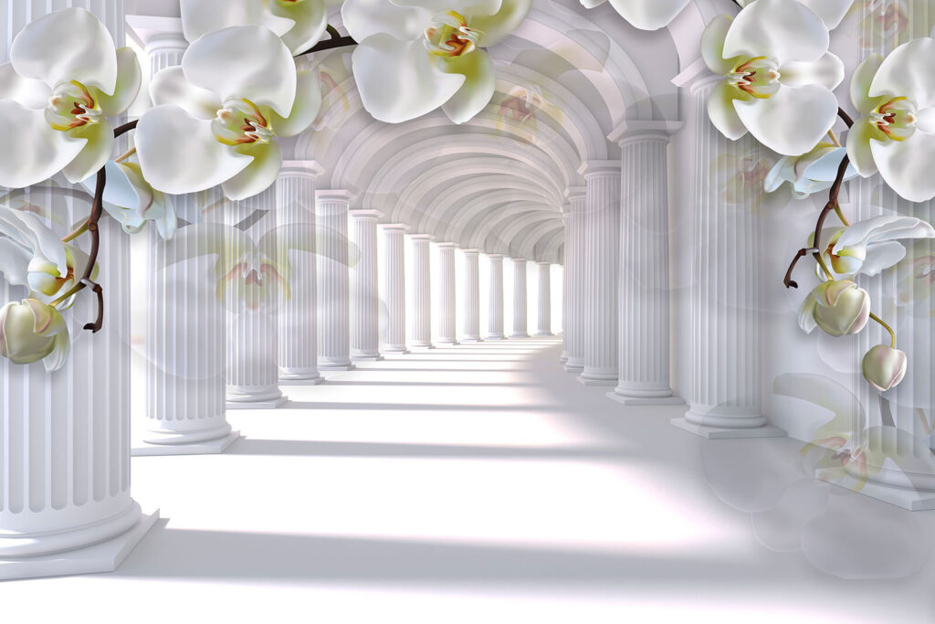 Orchidee sopra colonnato bianco — design completo