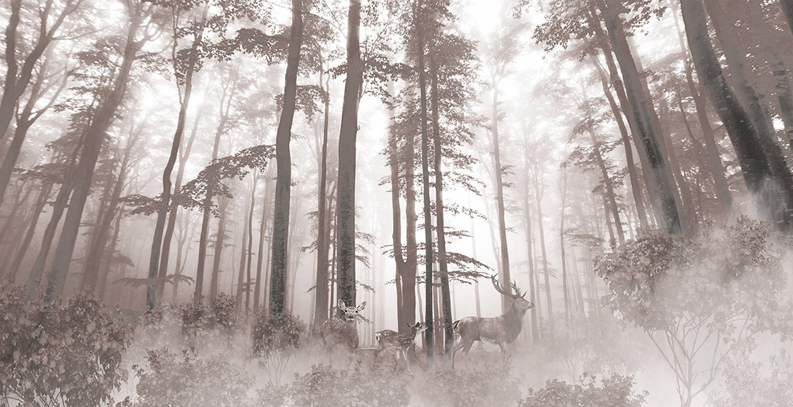 Cervi nella nebbia — design completo