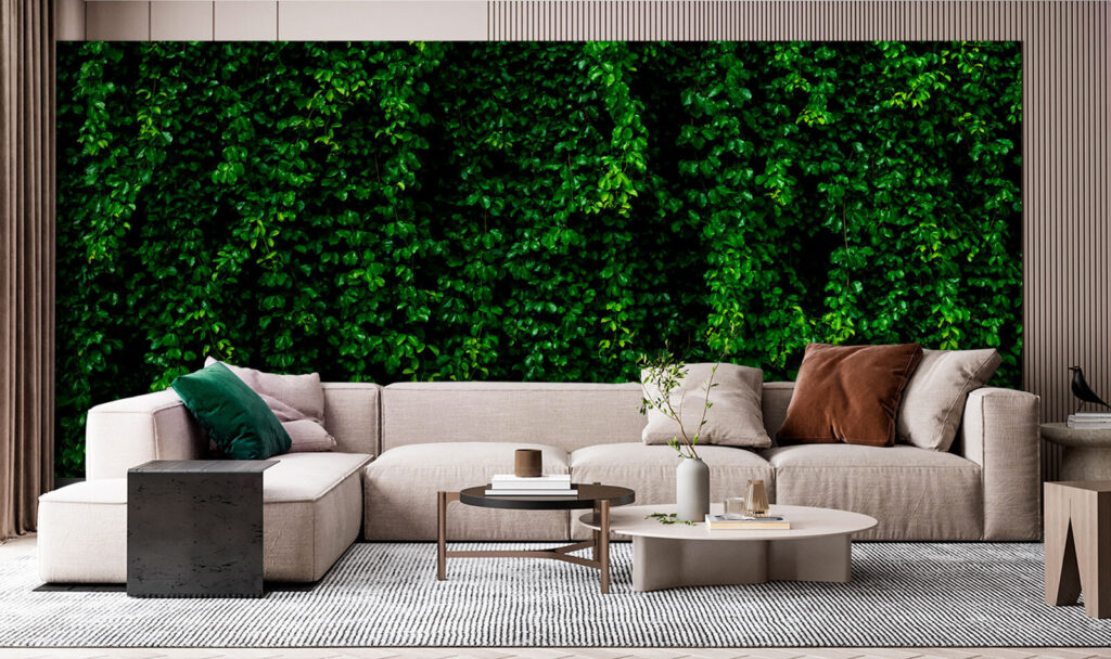 Muro di edera — ambiente 2