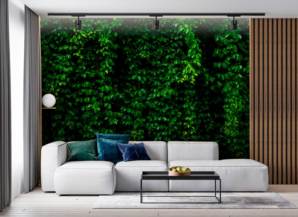 Muro di edera — ambiente 3