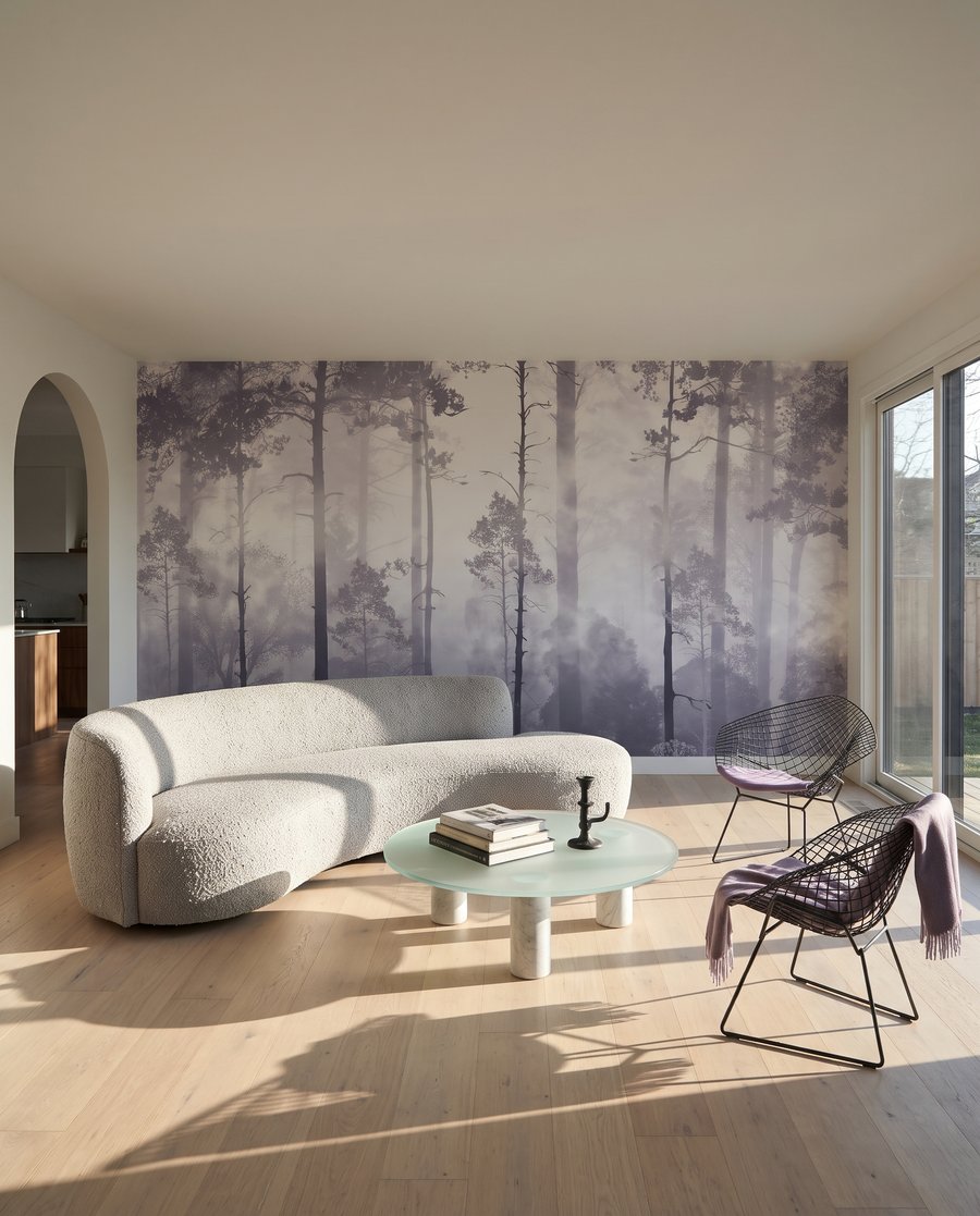 Luce nel bosco — ambiente 2