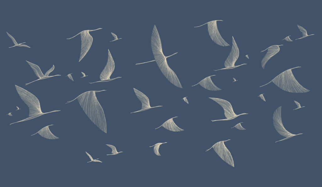 Uccelli nel blu — design completo