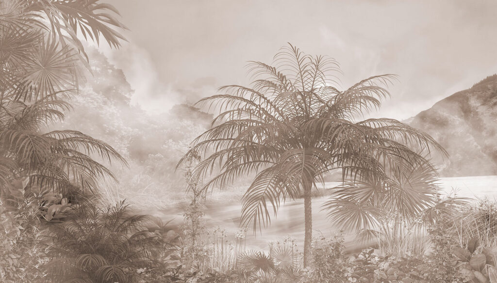 Palme davanti alla nebbia — design completo