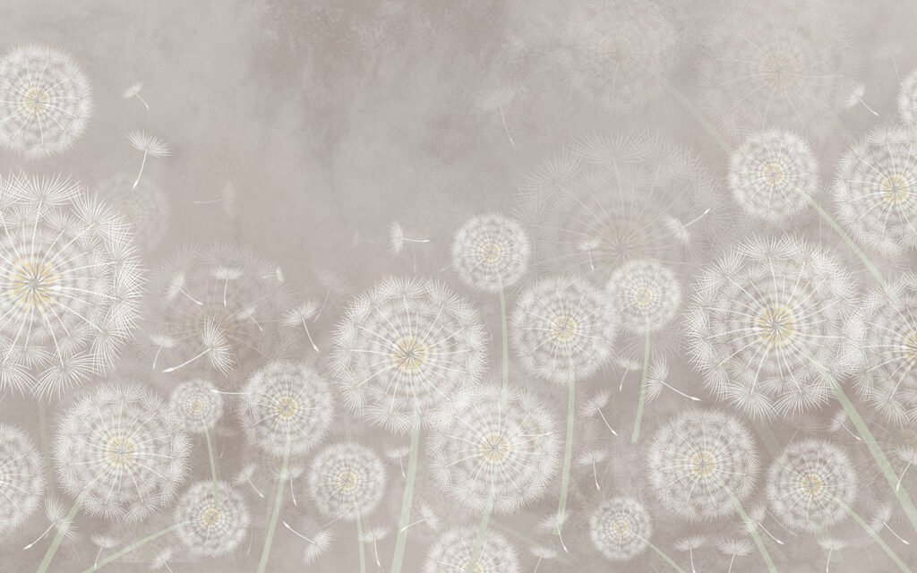 Soffioni in ombra pallida — design completo