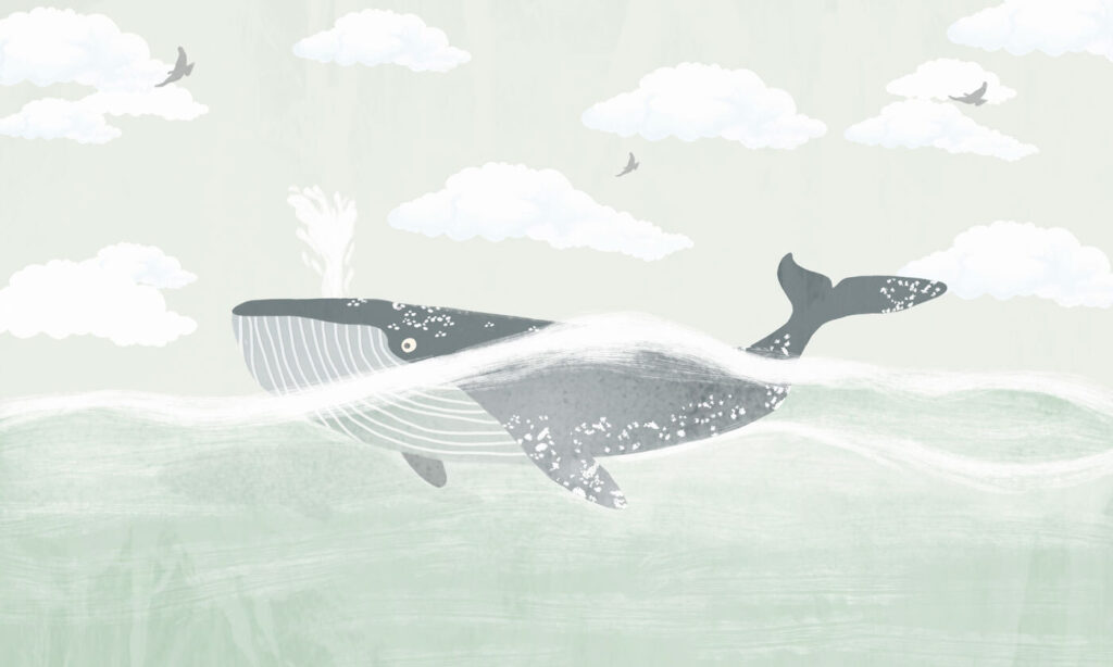 Balena sotto le nuvole — design completo