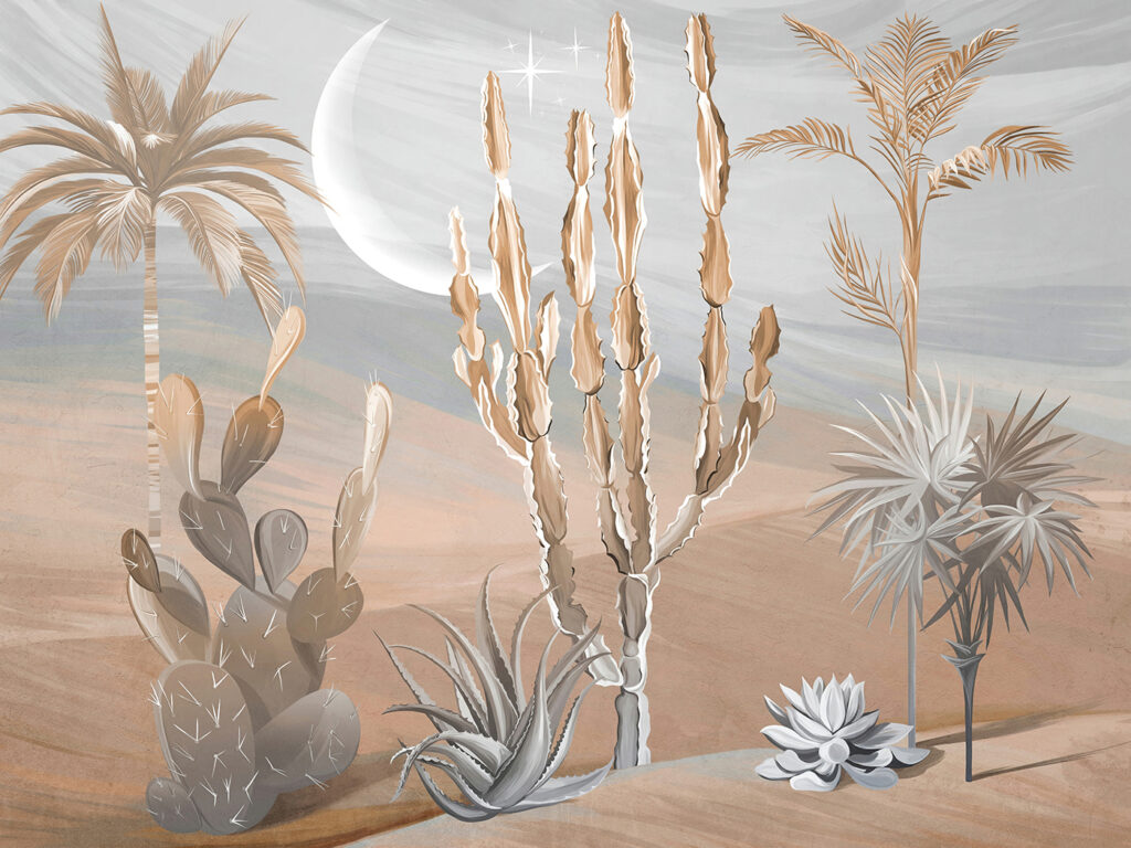 Cactus nel deserto lunare — design completo