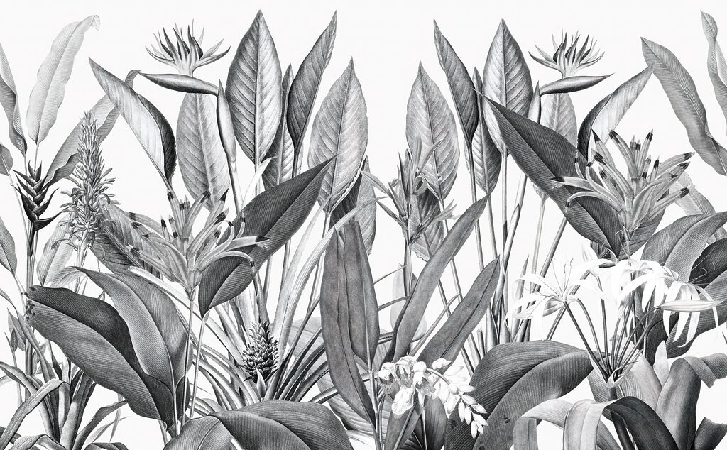 Fiori tropicali e foglie — design completo