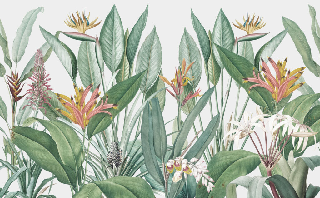 Fiori del paradiso — design completo