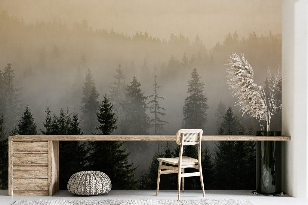 Bosco di prima mattina — ambiente 5