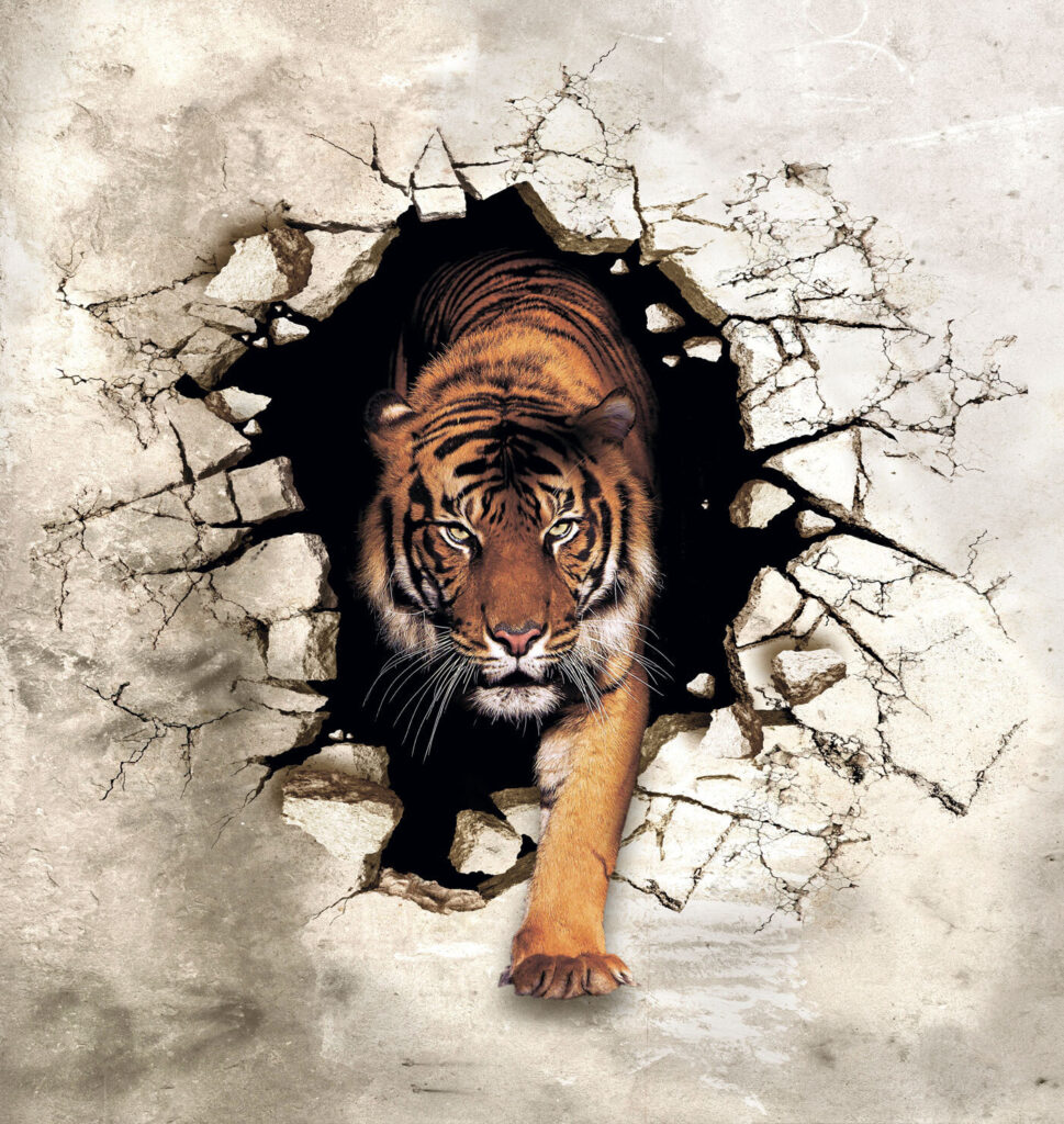 Tigre dal muro — design completo