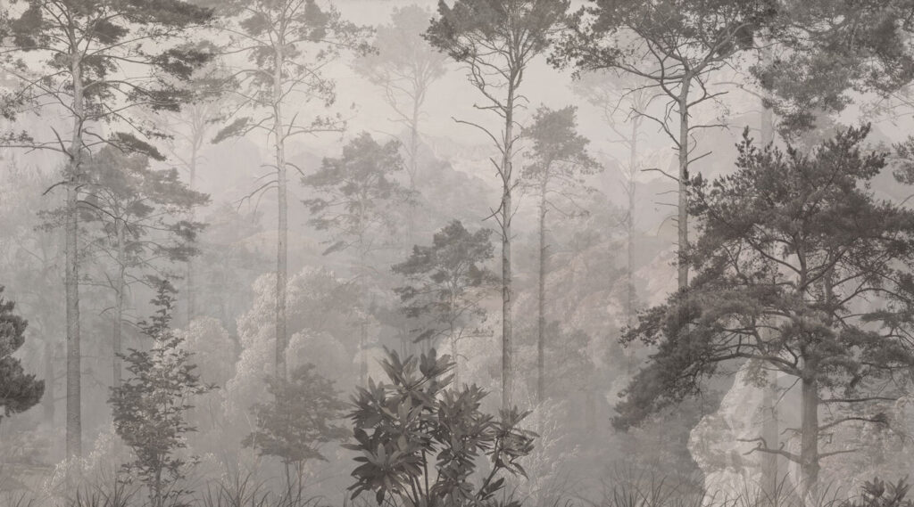 Pini emergenti dalla nebbia — design completo