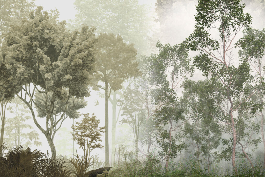 Chiome verdi alla luce — design completo