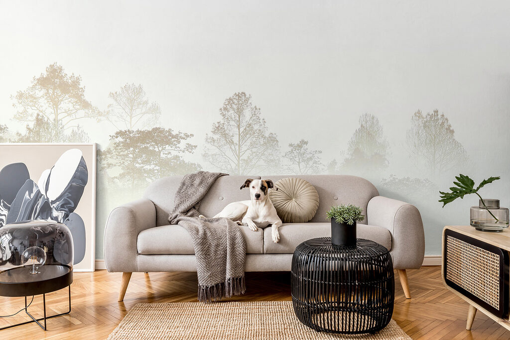 Bosco che svanisce — ambiente 4