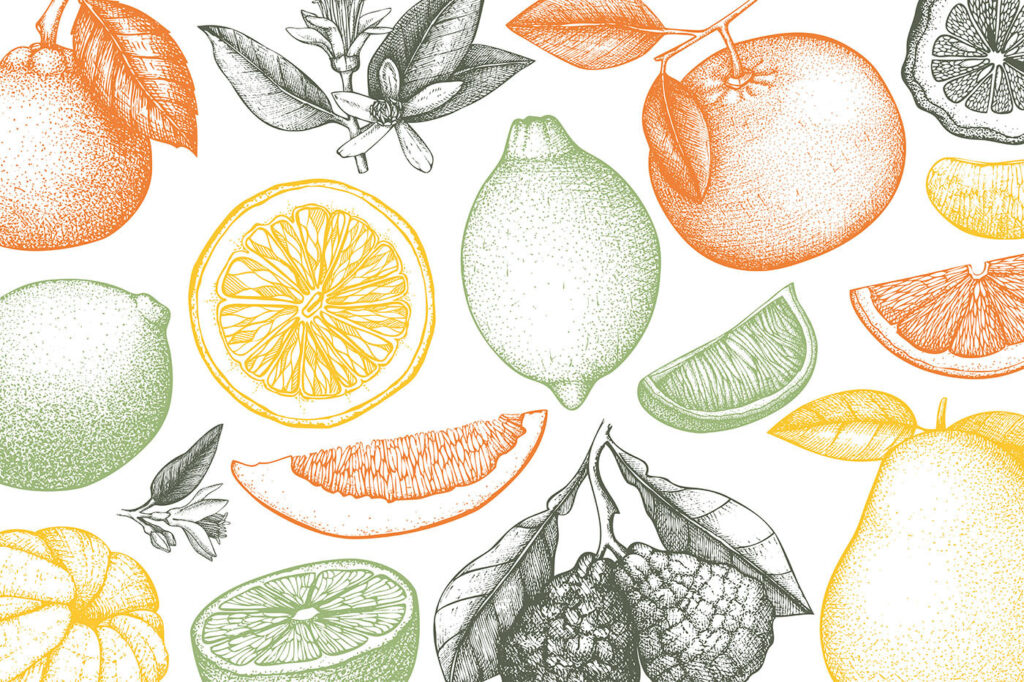 Agrumi a linee sottili — design completo