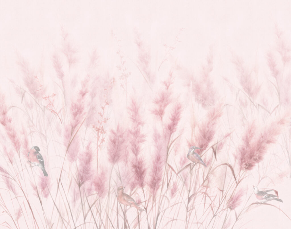 Pennacchi rosa morbidi — design completo