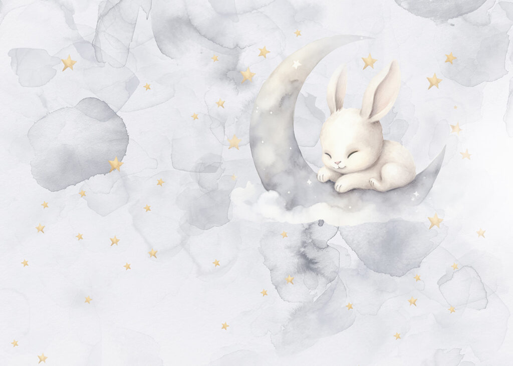 Coniglietto sulla luna — design completo