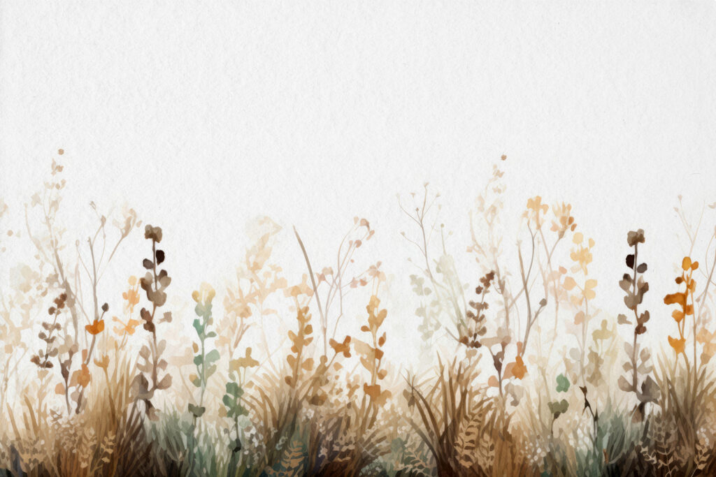Fiori secchi in basso — design completo