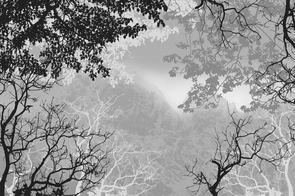 Rami nella nebbia grigia — design completo