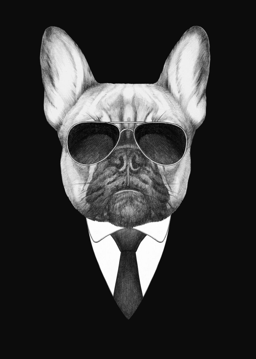 Bulldog in abito — design completo